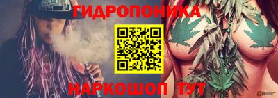 мяу мяу мука Нарткала