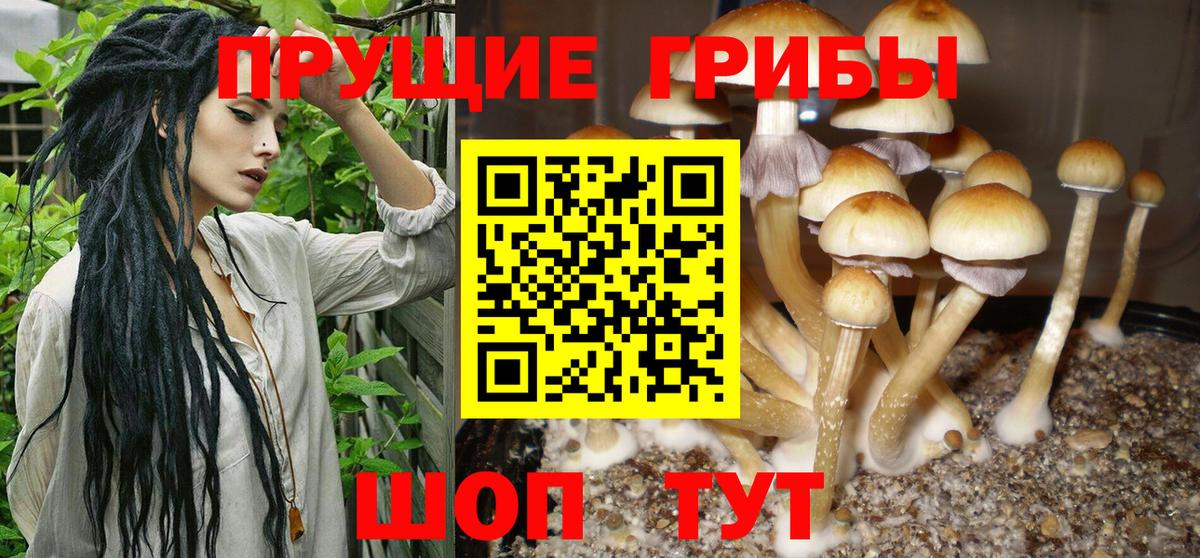 Галлюциногенные грибы MAGIC MUSHROOMS  Галлюциногенные грибы ЛСД  Вход с VPN  Элиста 