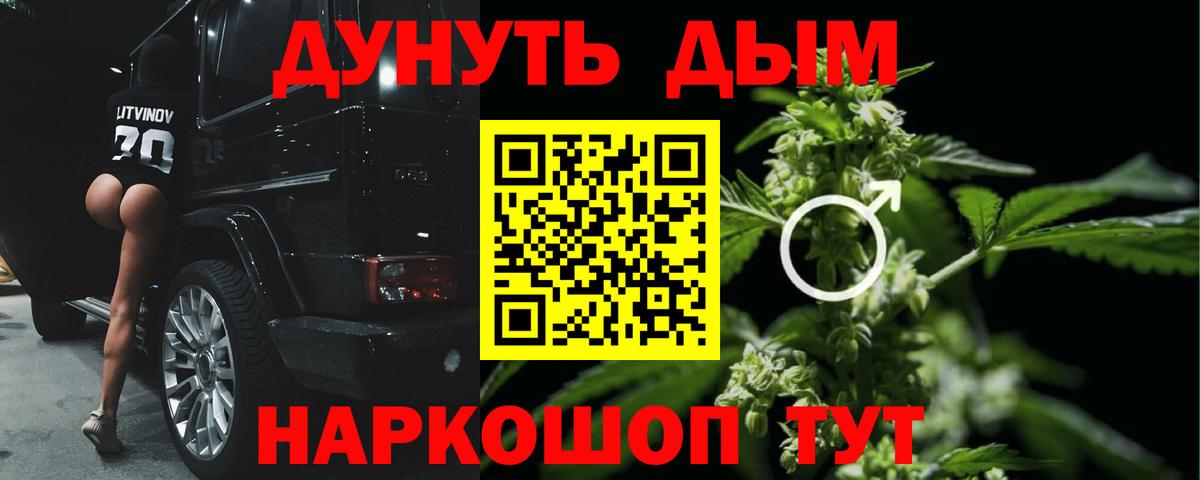 Конопля White Widow  Канабис конопля  МАРИХУАНА THC 21%  Элиста  Конопля семена  Вход с VPN 